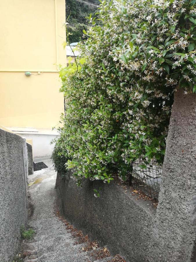 Affittacamere Le Oche Ριοματζόρε Εξωτερικό φωτογραφία
